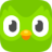 duo Strategy logo
